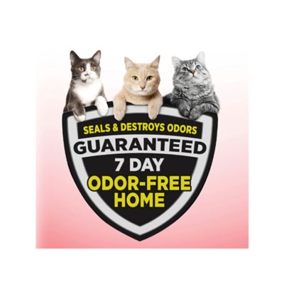 Image showing 6 th Arm & Hammer Clump and Seal Multi-Cat Scented Clumping Clay Cat Litter