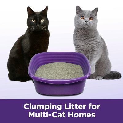 Image showing 6 th Arm & Hammer SLIDE Multi-Cat Scented Clumping Clay Cat Litter