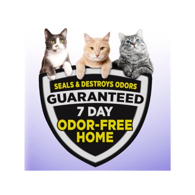 Image showing 4 th Arm & Hammer SLIDE Multi-Cat Scented Clumping Clay Cat Litter