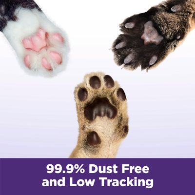 Image showing 5 th Arm & Hammer SLIDE Multi-Cat Scented Clumping Clay Cat Litter