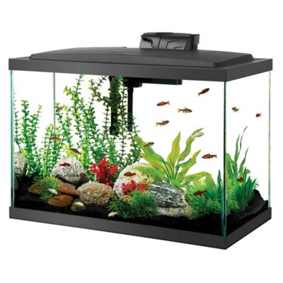 Image showing  Aquarium High Tank, 20 gal.