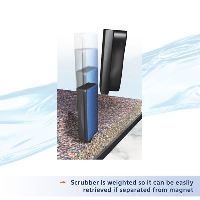 Image showing  Small Algae Cleaning Magnet