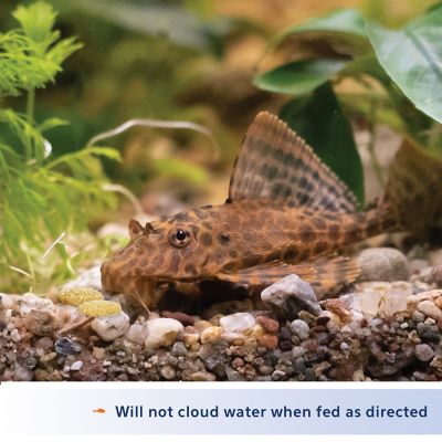 Image showing  Bottom Feeder Food 3 oz.