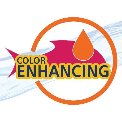 Image showing  Betta Color Food, 0.95 oz.