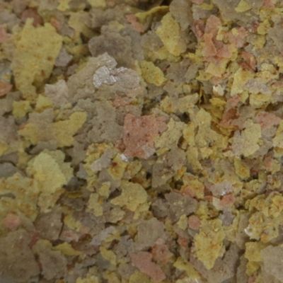 Image showing 3 th API Tropical Greens Flakes, 2.1 oz.