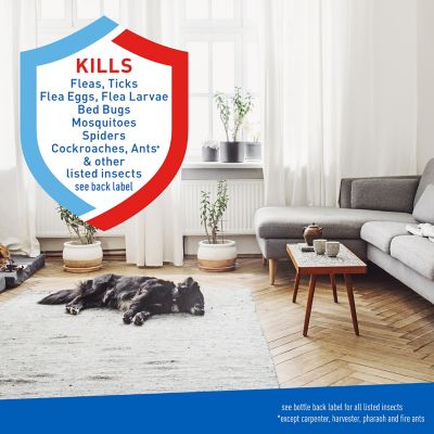 Image showing  Home Spray, 24 oz., 33505887