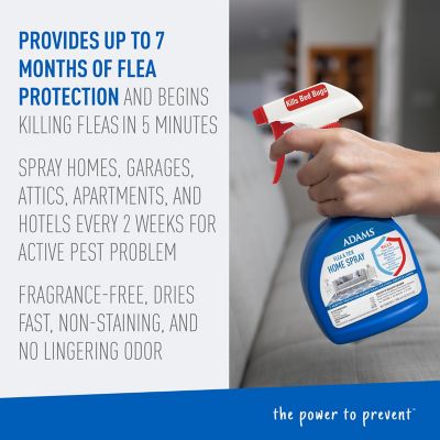 Image showing  Home Spray, 24 oz., 33505887