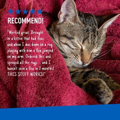 Image showing 6 th Adams Plus Home Spray, 24 oz., 33505887