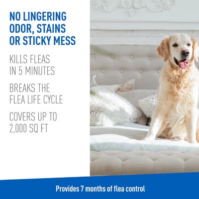 Image showing  Flea & Tick Carpet Spray, 16 oz.