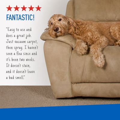 Image showing 6 th Adams Plus Flea & Tick Carpet Spray, 16 oz.