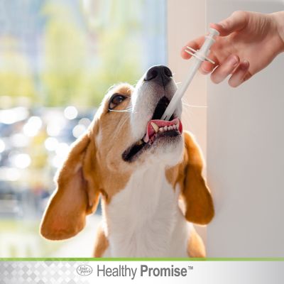 Image showing  Healthy Promise Pet Pill Dispenser Small