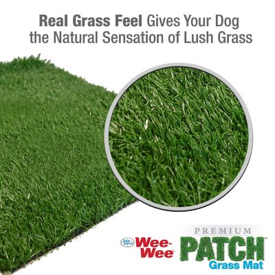 Image showing  Wee-Wee Dog Grass Replacement Patch Small, 12 ct.