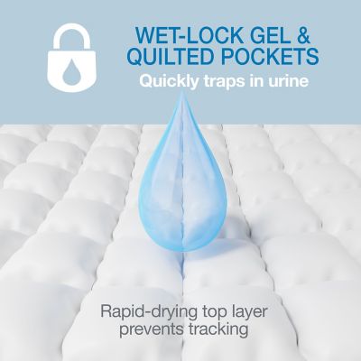 Image showing  Wee-Wee Odor Control Dog Training Pads with Febreze Freshness 50 ct.