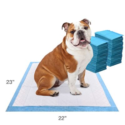 Image showing 5 th Four Paws Wee-Wee Odor Control Dog Training Pads with Febreze Freshness 50 ct.