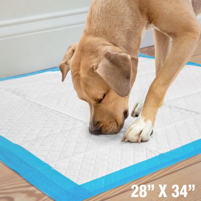 Image showing 6 th Four Paws Wee-Wee Superior Performance X-Large Dog Pee Pads, 21 ct., X-Large 28 x 34 in.