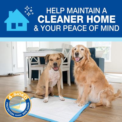 Image showing 8 th Four Paws Wee-Wee Superior Performance X-Large Dog Pee Pads, 21 ct., X-Large 28 x 34 in.