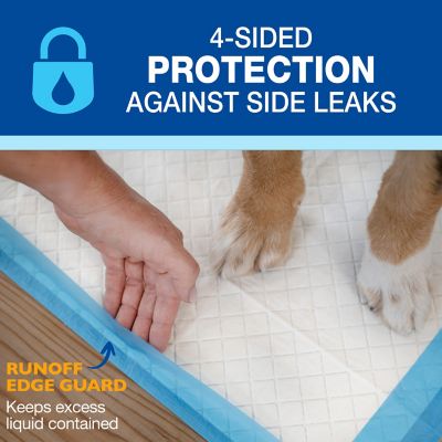 Image showing  Wee-Wee Gigantic Dog Pee Pads 18 ct.