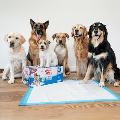 Image showing  Wee-Wee Gigantic Dog Pee Pads 18 ct.