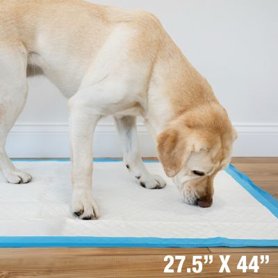 Image showing 6 th Four Paws Wee-Wee Gigantic Dog Pee Pads 18 ct.