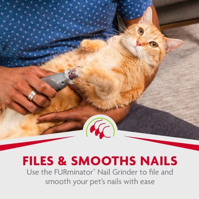 Image showing  Grinder Replacement Bands 6 pk.