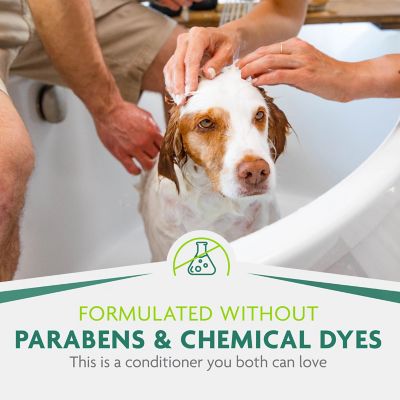 Image showing 6 th FURminator Deshedding Conditioner, 16 oz.