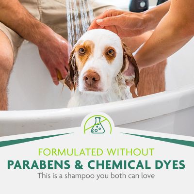 Image showing 6 th FURminator Deshedding Ultra Premium Shampoo for Dogs, 16 oz.