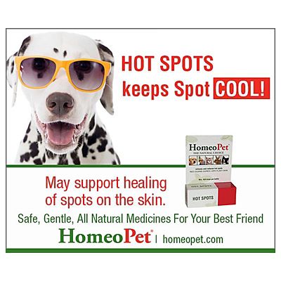 Image showing  Hot Spots Liquid Medicine, 15 mL