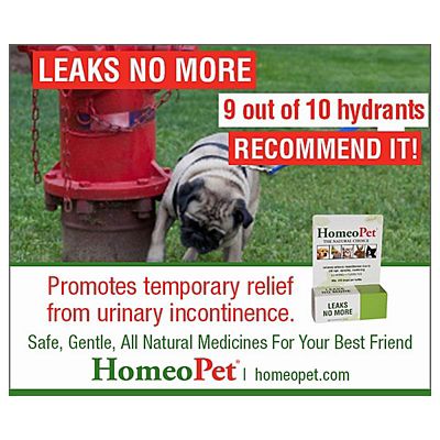 Image showing  Leaks No More Oral Supplement for Dogs and Cats, 15 mL