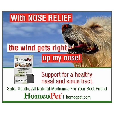 Image showing  Nose Relief