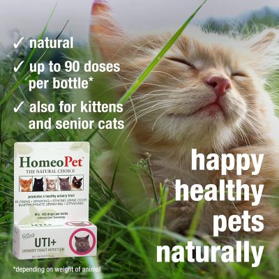 Image showing  UTI Plus Urinary Tract Infection Prevention Drops for Cats, 15 mL