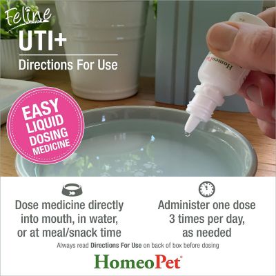 Image showing 5 th HomeoPet UTI Plus Urinary Tract Infection Prevention Drops for Cats, 15 mL