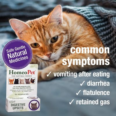 Image showing  Hompet Feline Dig Upset, 15ml