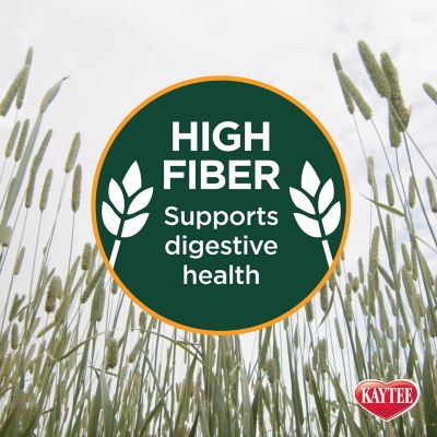 Image showing 5 th Kaytee Timothy Hay Small Animal Treat, 96 oz.