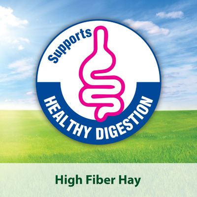 Image showing 9 th Kaytee Timothy Hay Small Animal Treat, 96 oz.