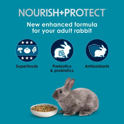 Image showing  Forti-Diet Pro Health Nourish + Protect Adult Rabbit Food 5 lb. Bag