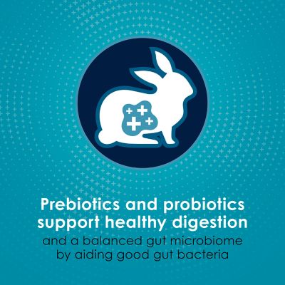 Image showing  Forti-Diet Pro Health Nourish + Protect Adult Rabbit Food 5 lb. Bag