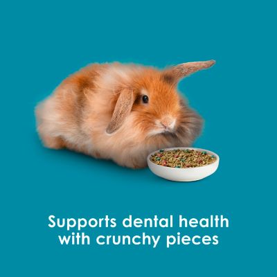 Image showing 7 th Kaytee Forti-Diet Pro Health Nourish + Protect Adult Rabbit Food 5 lb. Bag