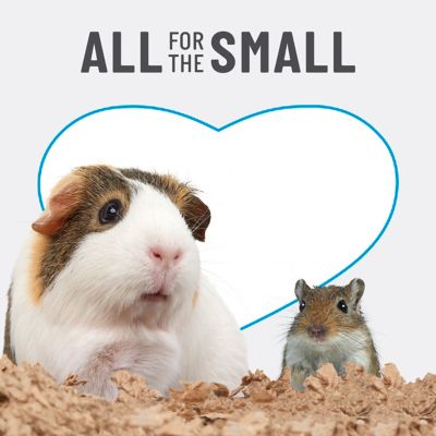 Image showing 5 th Kaytee 500 cu. in. Clean & Cozy Pet Bed, 100213645