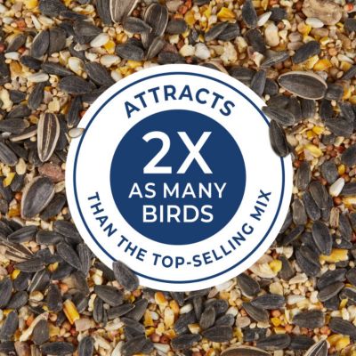 Image showing  Birders Blend, 8 lb. Bag