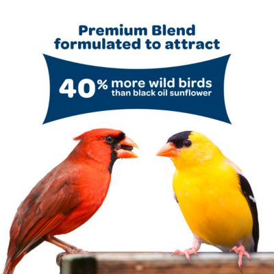 Image showing  Birders Blend, 8 lb. Bag