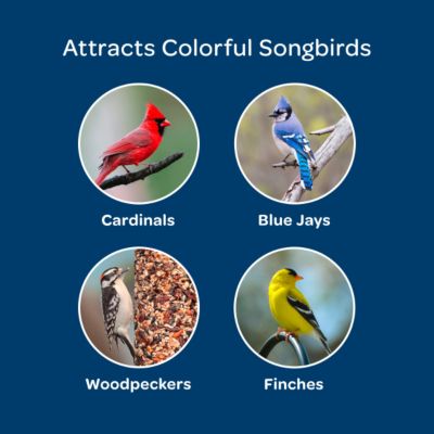 Image showing  Birders Blend, 8 lb. Bag