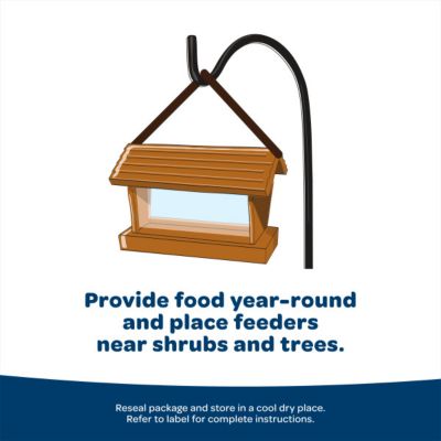 Image showing 5 th Kaytee Birders Blend, 8 lb. Bag