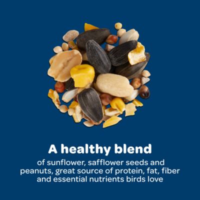 Image showing 6 th Kaytee Birders Blend, 8 lb. Bag