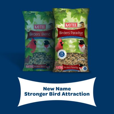 Image showing 8 th Kaytee Birders Blend, 8 lb. Bag