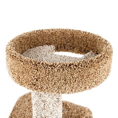 Image showing  Kitty Playground