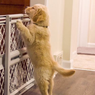 Image showing 7 th North States MyPet Paws Portable Petgate