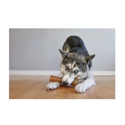 Image showing  Puppy Souper Chicken Chew