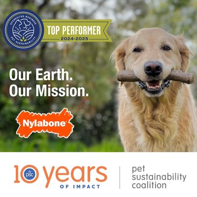 Image showing 9 th Nylabone Dental Chew, Moderate, Chicken, Large