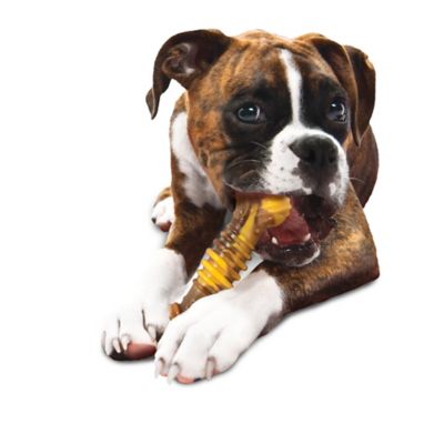Image showing  Flavor Frenzy Power Chew Durable Dog Chew Toy, Large