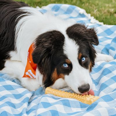 Image showing  Souper Peanut Butter Chew